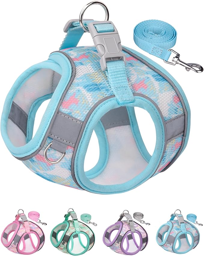Dog Harness for Small Medium Dogs No Pull, Cat Harness and Leash Set,Step in Puppy Harness. (Bule, L)