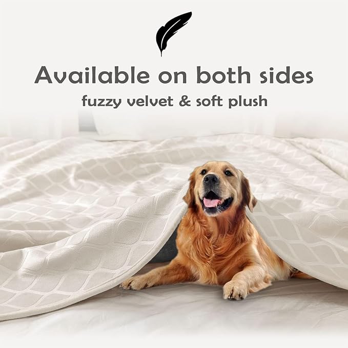 fuguitex Waterproof Dog Blanket Bed Cover Dog Crystal Velvet Moroccan Fuzzy Cozy Plush Pet Blanket Throw Blanket for Couch Sofa(82 * 102 inch, Cream+Grey)