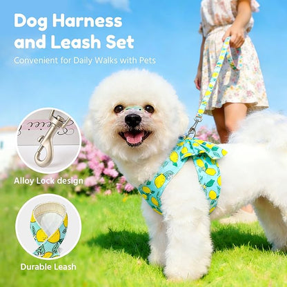 BAEJMJK Dog Harness and Leash Set with Bow Knot No Pull Pet Daisy Floral Harness with D-Ring Soft Mesh Dog Harness Vest Set Escape Proof Princess Puppy Harness for Small Girl Dogs Cats（Green M）