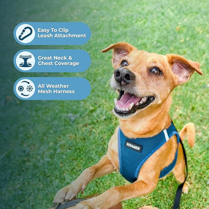 Best Pet Supplies Voyager Step-in Air All Weather Mesh Harness and Reflective Dog 5ft Leash Combo with Neoprene Handle, for Small, Medium and Large Breed Puppies - Set (Turquoise), XX-Small