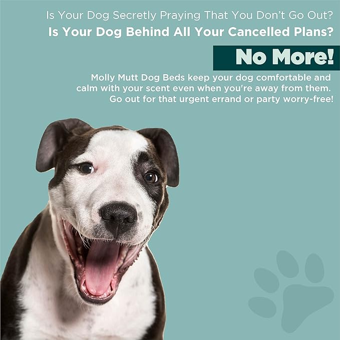 Molly Mutt Water-Resistant Dog Bed Liner, Nylon Bed Liner For Dogs, Easy To Clean, Gray, Round, 36”x36”x4.75”