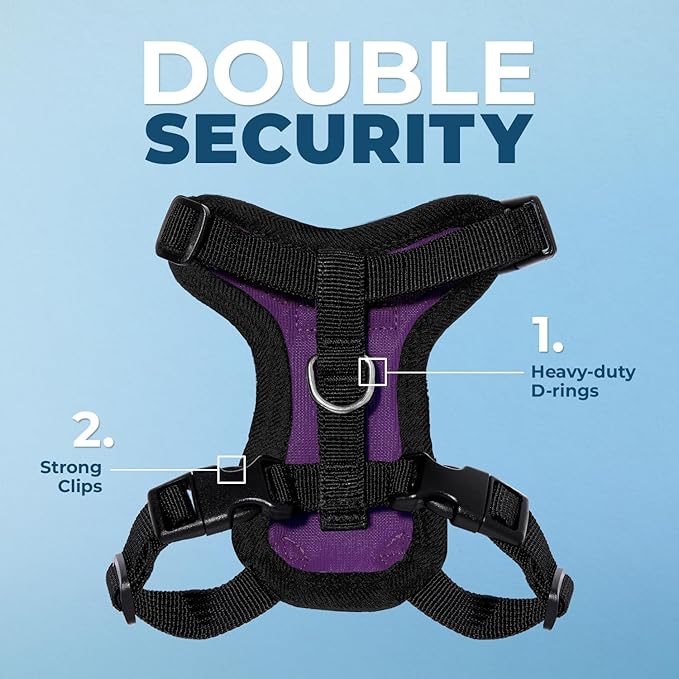 Voyager Escape-Proof Step-in Lock Cat Harness & 5ft Neoprene-Handle Leash Set All-Weather Mesh with Reflective Stitching for Small to Large Cats by Best Pet Supplies, Purple/Black Trim, S