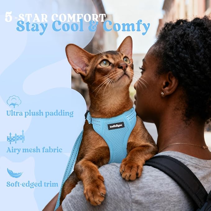 rabbitgoo Cat Harness and Leash, Escape Proof Vest with 3 Adjustable Buckles, Soft Comfortable Kitten Harness, Easy to Wear, Reflective for Safe Outdoor Walking, Medium, Sky Blue