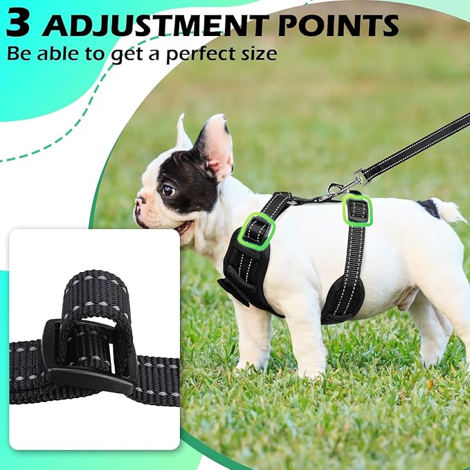 EXPAWLORER Dog Tuxedo Harness, Adjustable No Pull Pet Vest Harness with Leash Wedding Suit Attire with Bow Tie, Soft Padded Step-in Party Outfit Costume for Puppy Small Medium Dogs, Black XS
