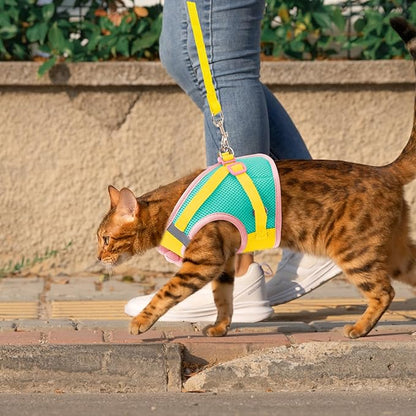 Cat Harness and Leash Set Escape Proof, Adjustable Cat Vest Harnesses Soft Kitten Harness Reflective Strips Jacket with Flower, Breathable Mesh Harnesses for Cats Puppy Easy to Wear Outdoor Walking
