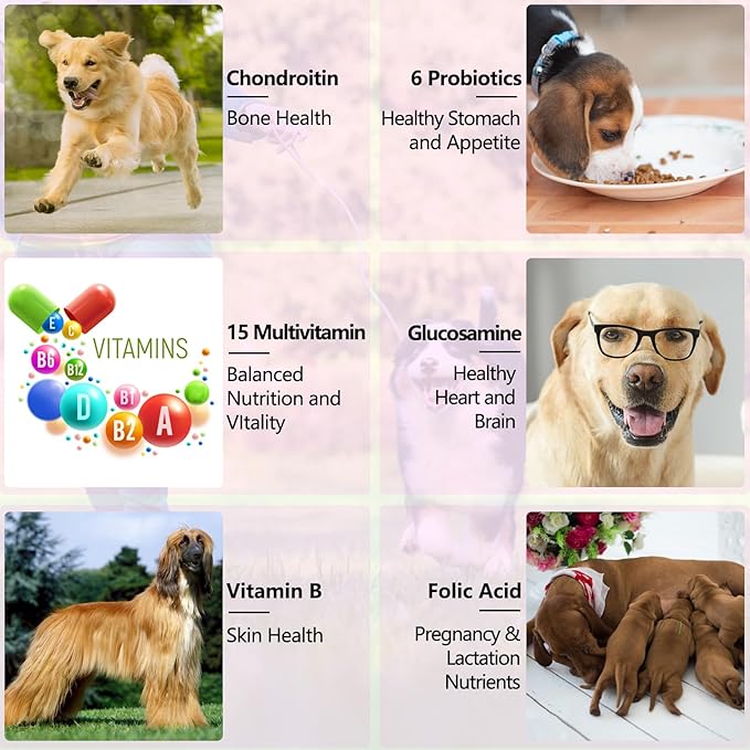 Dog Multivitamin, 15 in 1 Dog Multivitamin Liquid Drops Supplements, Dog Vitamins for Support Skin & Coat, Heart Health, Bones, Joint, Immune System Support, 60ml