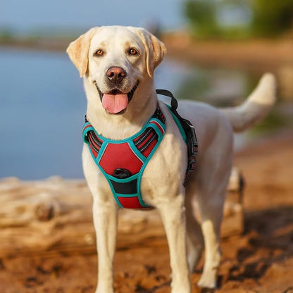 rabbitgoo Dog Harness No Pull with 2 Leash Clips, Adjustable Soft Padded, Reflective Oxford No Choke Pet Vest with Easy Control Handle for Large Dogs, Red & Teal, XL