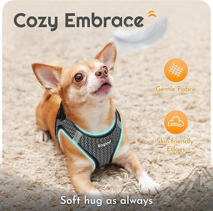 Eagloo Small Dog Harness and Leash Set, Step in Puppy Vest with Breathable Soft Mesh, Walking Reflective Pet Harness for Medium Small Dogs, Gray, M