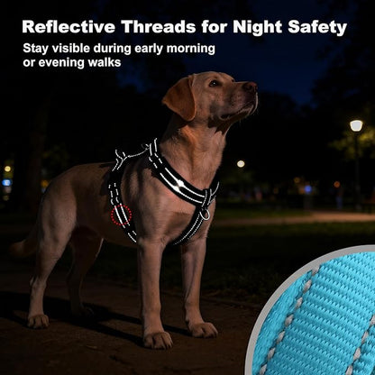 No Pull Dog Harness with Handle, Soft Mesh Padded Adjustable for Small Medium Large Dogs | Reflective Easy Walk Harness with Front Clip for Training, Running & Outdoor (Cyan, M)