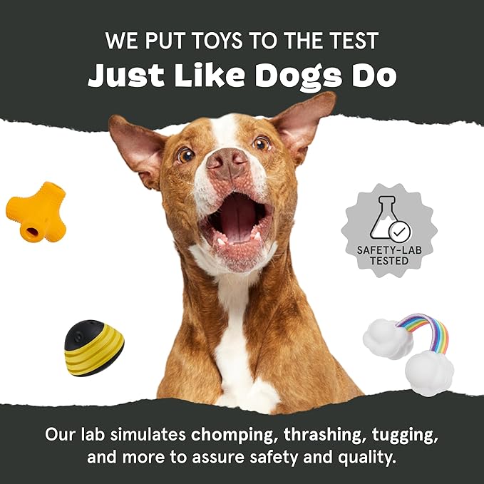 Barkbox Tipsy Toast Glass – Treat Dispensing Dog Toys – Puppy and Pet Toys for Medium to Large Dogs