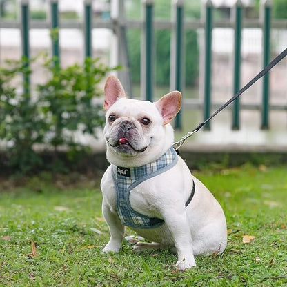 PUPTECK Soft Mesh Dog Harness and Leash Set Pet Puppy Cat Comfort Padded Vest No Pull Harnesses, Sky Blue, XS