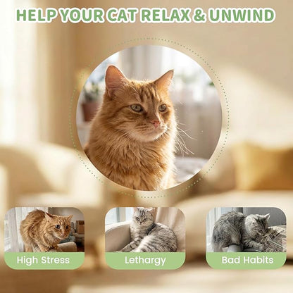 6 Pcs Cat Toys for Bored Indoor Adult Cats & Catnip Toys with 2 Bags, Potent Cat Chew Toy for Teeth Cleaning with Silvervine, Interactive Dental Plush Set for Boredom Relief and Pet Gifts