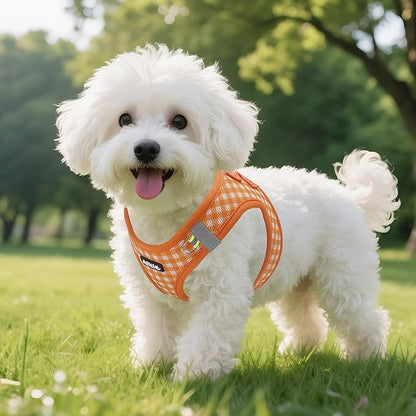 AIITLE Small Dog Harness with Leash – Soft Breathable Mesh, Plaid Pattern & Reflective Strips – Ideal for Training, Running & Party Outings (S, Orange)
