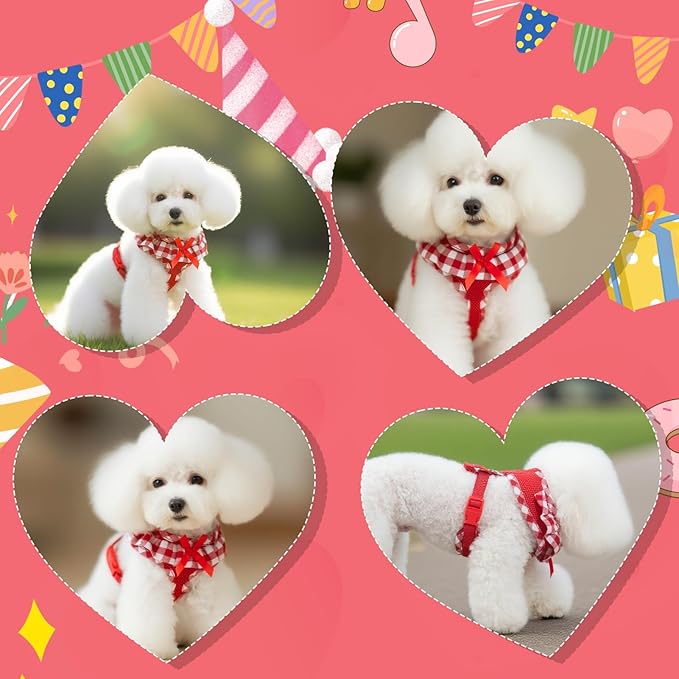 EXPAWLORER Cute Dog Harness and Leash Set - Red Girl Dog Harness Checkered Step-in Design, Easy Adjustable No-Choke Lightweight Breathable Vest for Puppy Small Dogs Cats Outdoor Walking, X-Small