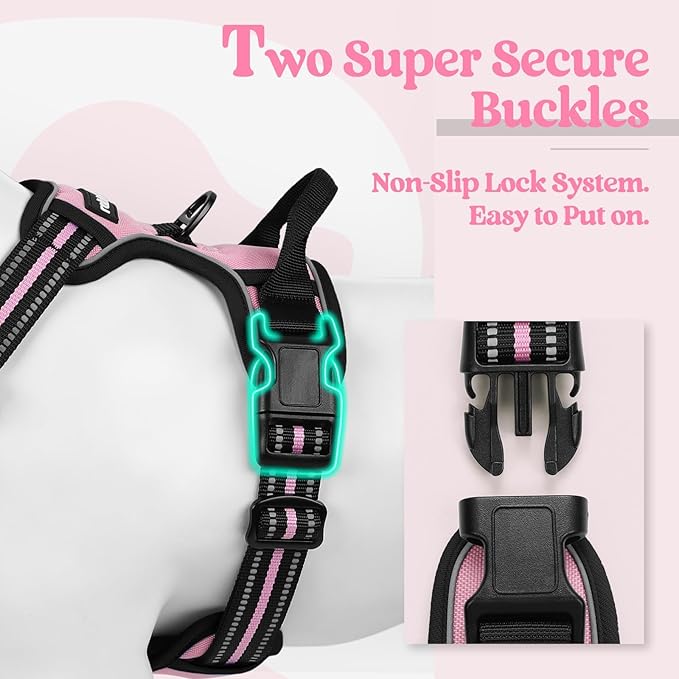 rabbitgoo Dog Harness No Pull with 2 Leash Clips, Adjustable Soft Padded, Reflective Oxford No Choke Pet Vest with Easy Control Handle for Large Dogs, Pink, XL
