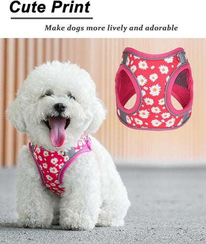 XXS ROSEO Flower Pattern Dog Harness and Leash Set,No Escape Puppy Harnesses for Training Walking，Breathable Adjustable Puppy Vest for Small Medium Dogs, Cats (ROSEO, XXS)