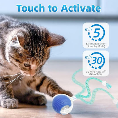 Interactive Cat Toys for Indoor Cats, Automatic Kitten Toys for Bored Indoor Adult Cats, Smart Kitten Rolling Ball Moving Balls Toy, Rechargeable Dog Cat Ball for Enrichment Exercise (Red+Blue)