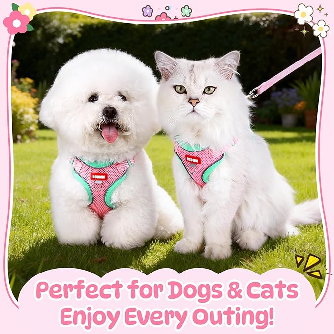 Coppthinktu Dog Harness with Leash Set for Small Sized Dogs Cats, No Pull Dog Harness Soft Mesh Cat Puppy Harness, Adjustable Reflective Step-in Pet Vest Harnesses for Outdoor Walking Training