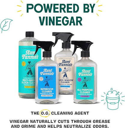 Aunt Fannie's Glass & Window Cleaning Vinegar Spray, Natural Streak-Free Spray, 16.9 Ounces (Pack of 6)