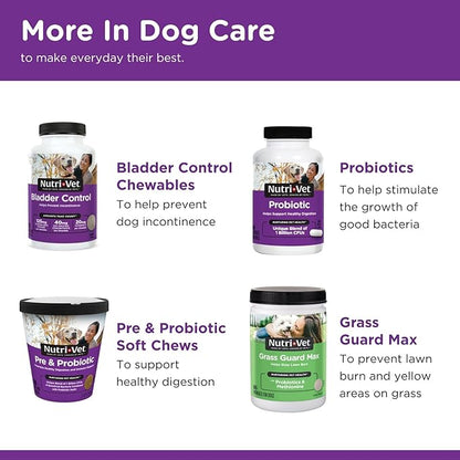 Nutri-Vet Anti-Diarrhea Liquid for Dogs and Puppies, Puppy Supplements for Digestive Health, Dog Essentials for Gut Support, Pet Vitamins, Probiotic Alternative, Puppy Supplies, Made in USA, 4oz