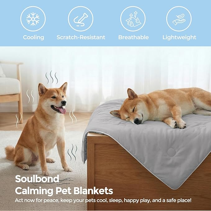 Soulbond Cooling Blanket for Extra Large Dogs - Q-MAX>0.45, Washable Cool Pet Cats Throw Blanket for Hot Weather, Self-Cooling Soft Dog Mat for Bed Crates Couch Sofa Cars(50"x60", Dark Gray)