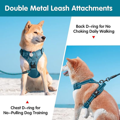 PoyPet No Pull Dog Harness and 5 Feet Leash Set, Release on Neck Reflective Adjustable Pet Vest, Front & Back 2 D-Ring and Soft Padded Pet Harness with Handle for Small to Large Dogs(Tumalo Teal,L)