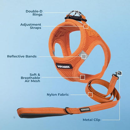 Best Pet Supplies Voyager Step-in Air All Weather Mesh Harness and Reflective Dog 5ft Leash Combo with Neoprene Handle, for Small, Medium and Large Breed Puppies - Set (Orange), X-Small