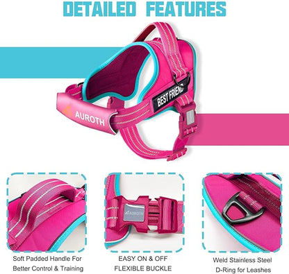 AUROTH Dog Harness and Leash Set, Soft Padded Service Dog Vest with 5.25FT Dog Leash, No Choke, Easy On Pet Vest, Adjustable Reflective No Pull Dog Harness for Large Dogs, Easy Walking and Training