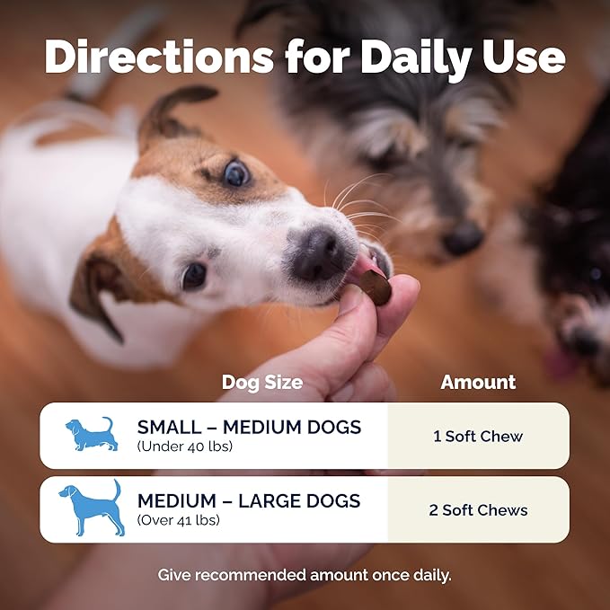 Vetnique Glandex Daily Probiotics for Dogs with Prebiotics to Support Gut Health, Diarrhea with Fiber and Digestive Enzymes, Dog Probiotic Chews or Powders (120ct Chews, Bacon Chews)