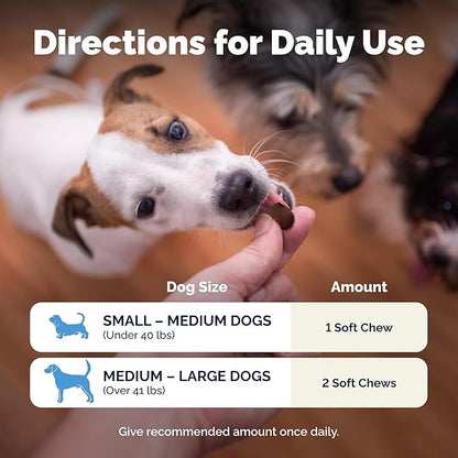 Vetnique Glandex Daily Probiotics for Dogs with Prebiotics to Support Gut Health, Diarrhea with Fiber and Digestive Enzymes, Dog Probiotic Chews or Powders (120ct Chews, Bacon Chews)