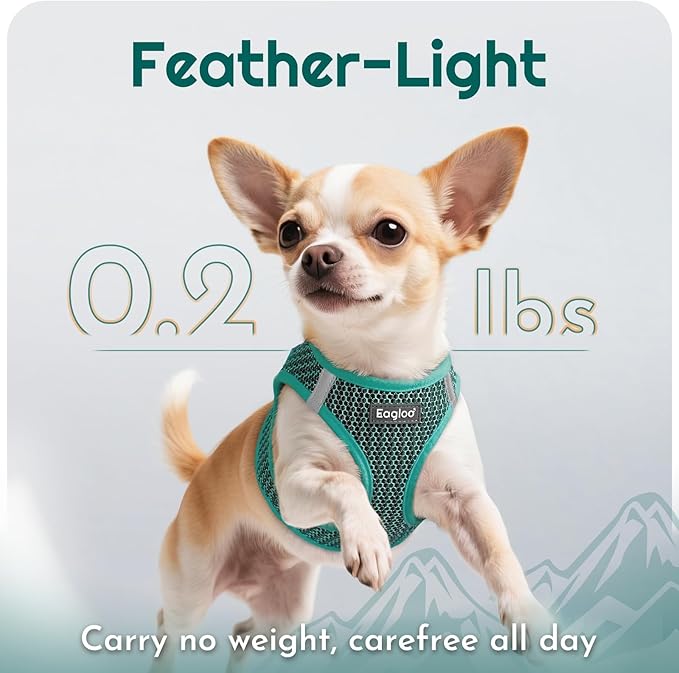 Eagloo Small Dog Harness and Leash Set, Step in Puppy Vest with Breathable Soft Mesh, Walking Reflective Pet Harness for Small Dogs, Forest Green, XXS