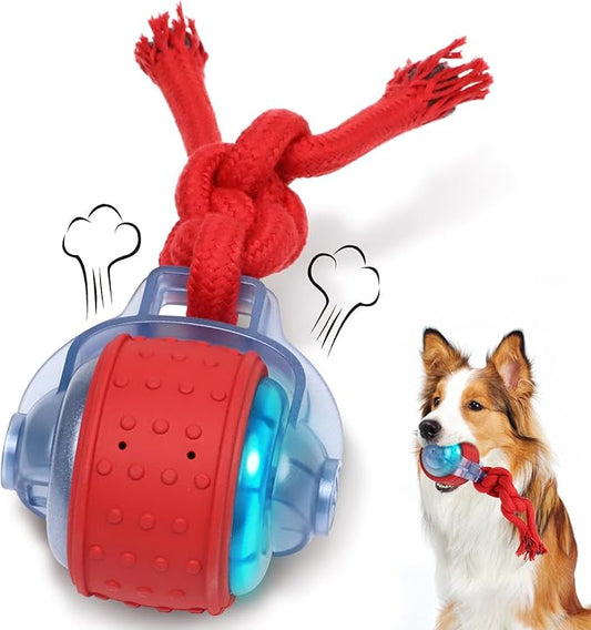 Oxawo Interactive Dog Toys Pet Busy Balls Wiggles Ball for Medium & Small Dogs Keep Dogs Busy