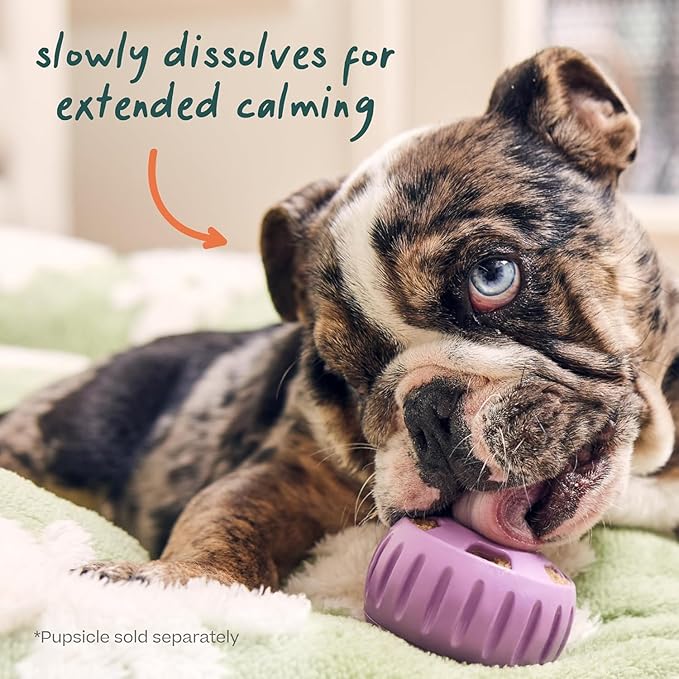 WOOF Pupsicle Refill Pops for Calming - Long-Lasting Refills for The Pupsicle Toy to Promote Calm - Calming Dog Treats - Magnesium for Dogs- XL Pops - 5 Count - 3 Pack