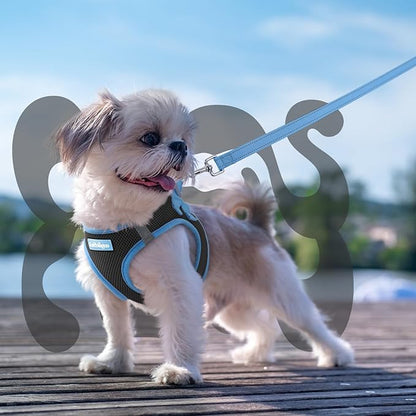 rabbitgoo Dog Harness Small Sized and Leash Set, Step-in Breathable Pet Harness, Soft Walking Reflective Puppy Vest for Small Dogs, Black & Light Blue, XS