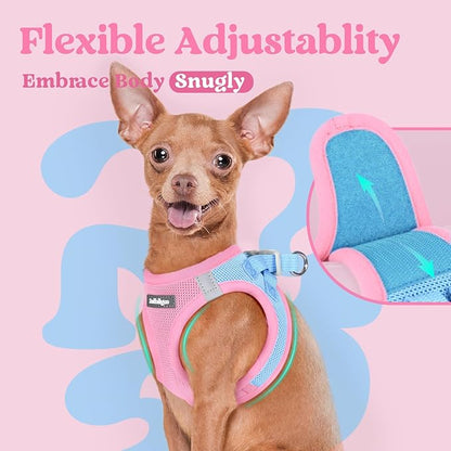 rabbitgoo Small Dog Harness, Step-in Soft Mesh Puppy Vest with Safety Buckle, Breathable Reflective Pet Harness for Small Medium Dogs, Blue & Light Pink L