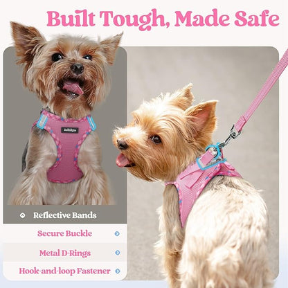 rabbitgoo Dog Harness Small Medium Sized and Leash Set, Step in Soft Light Puppy Vest, Breathable Mesh Pet Harness, Reflective for Safe Easy Walking, Pink & Plaid Trim L