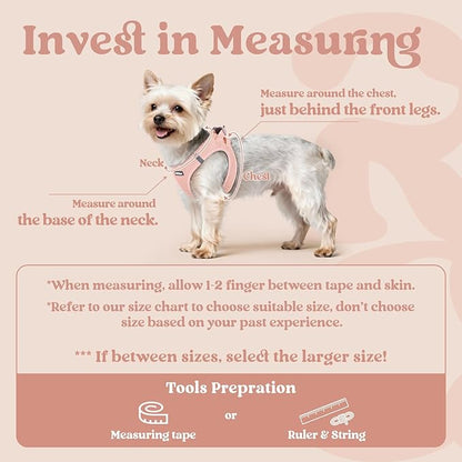 rabbitgoo Small Dog Harness, Step-in Soft Mesh Puppy Vest with Safety Buckle, Breathable Reflective Pet Harness for Small Medium Dogs, Pink XL