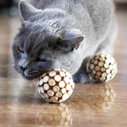 miwoowim 3PCS Cat Ball Toy,Silvervine Ball with Catnip Gall Fruit silvervine Sticks Powder Inside,Catnip Toys for Indoor Cats,Kitten Cleaning Teeth Cat Chew Toy