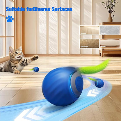 2 Pcs Cat Toy Ball, Speedy Sprint Balls and Chirping Ball, Cat Interactive Toy for Indoor, Kitty Kitten Catnip Exercise Toys
