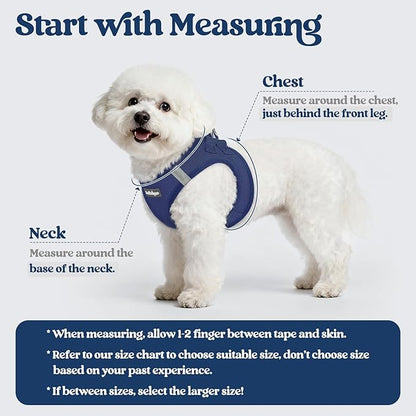 rabbitgoo Dog Harness Small Sized and Leash Set, Step in Soft Light Puppy Vest, Breathable Mesh Pet Harness, Reflective for Outdoor Safe Walking, Navy Blue XL