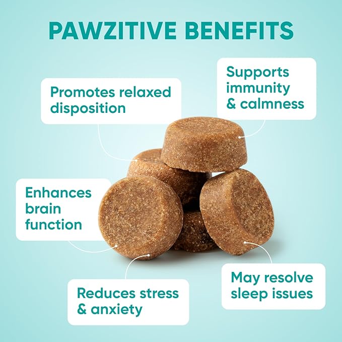Hemp Calming Chews for Dogs - Dog Calming Chews for Anxiety Relief, Stress, Separation, Fireworks, Thunder, Travel, Vet Visits - USA Product - 120 Soft Treats with Melatonin, Chamomile, Passion Flower