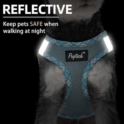 PUPTECK Dog Harness and Leash Set for Small Medium Dogs No Pull Step-in Soft Mesh Puppy Cat Vest Harnesses Reflective at Night, Sky Blue, S