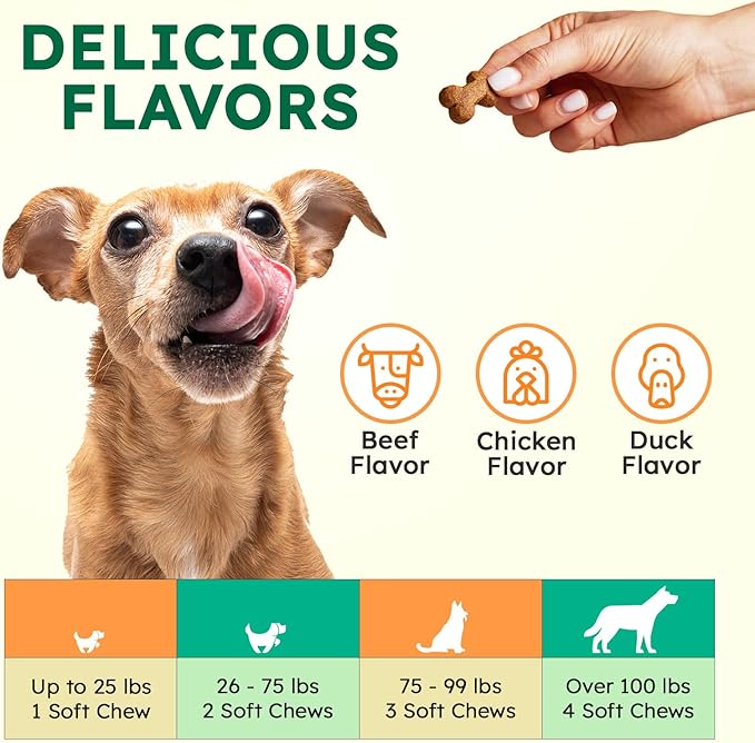 ZENO Dog Vitamins and Supplements - 150 Dog Multivitamin Chewable - Immune, Joint Support, Skin, Gut Health + Packed with Omega 3s, Glucosamine & Probiotics - Safe for Puppy - Beef