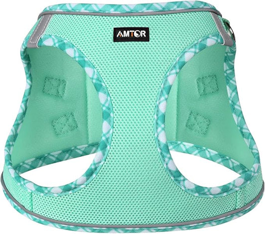 AMTOR Small Dog Harness with Leash Set, No Escape Easy Walk Puppy Harnesses for Training Walking, Step-in Reflective Soft Dogs Vest for XS S Medium Extra-Small Large Sized Dog(Green,L)