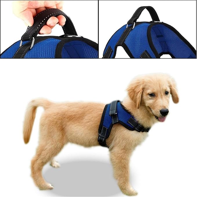 No Pull Reflective Adjustable Dog Harness With Handle- Comfortable Soft All Weather Mesh, Easy On Puppy Harness For Small Medium and Large Dogs (Blue) X-Small