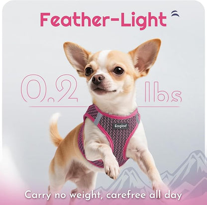 Eagloo Small Dog Harness and Leash Set, Step in Puppy Vest with Breathable Soft Mesh, Walking Reflective Pet Harness for Small Dogs, Rose Red, S