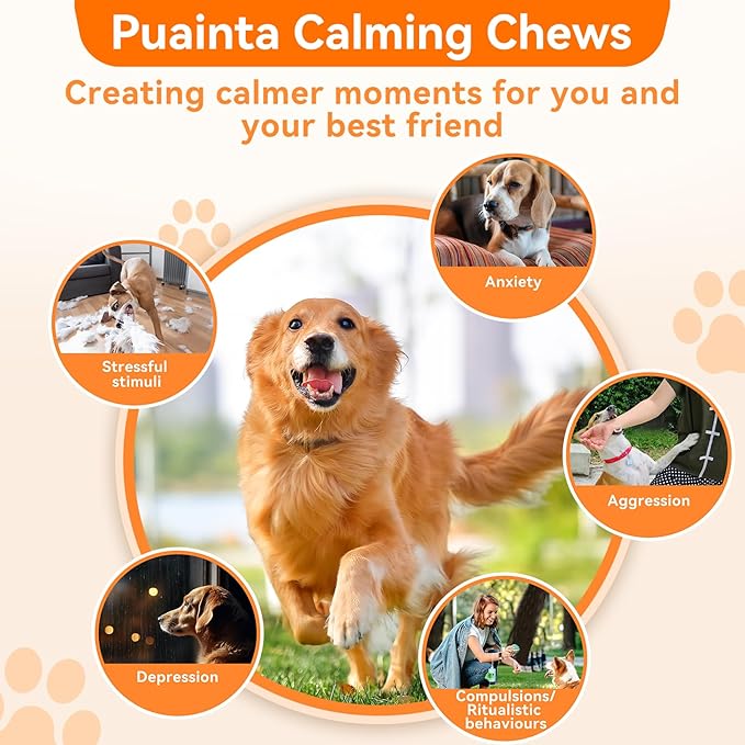 PUAINTA Dog Calming Chews – Magnesium Glycinate & Melatonin for Dogs, 4 Herbal Ingredients for Anxiety Relief, Stress & Travel Support, Chicken Flavor (90 Count)