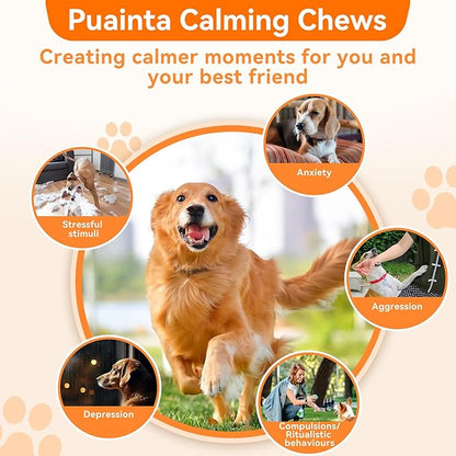 PUAINTA Dog Calming Chews – Magnesium Glycinate & Melatonin for Dogs, 4 Herbal Ingredients for Anxiety Relief, Stress & Travel Support, Chicken Flavor (90 Count)