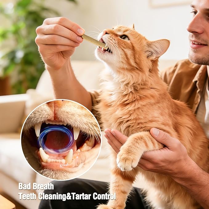 Freezed Dried Cat Teething Sticks, Cat Chew Stick for Dental Care, Salmon Flavour Cats Treats, Feline Teeth Cleaning Snacks