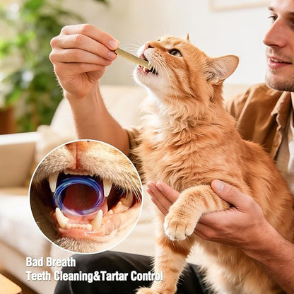1.74oz Freezed Dried Cat Teething Sticks, Salmon Cat Chew Stick for Dental Care, Chicken Cats Treats, Feline Teeth Cleaning Snacks